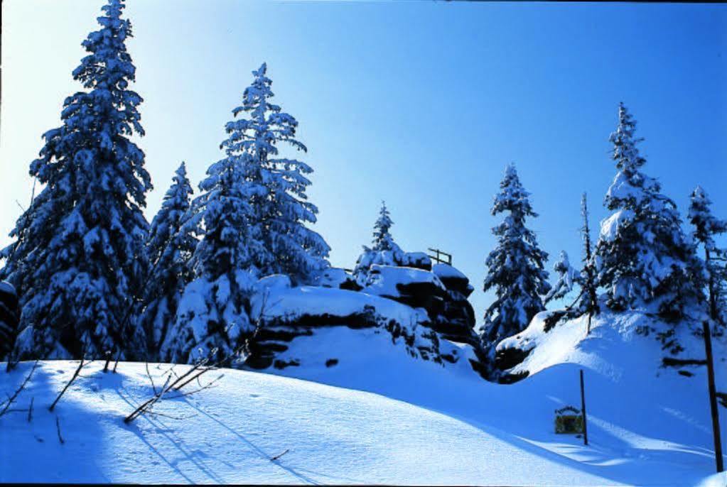 Pension Und Gasthof Eibl Röhrnbach Extérieur photo